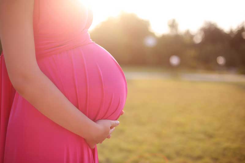 safer pregnancy driving tummy shield